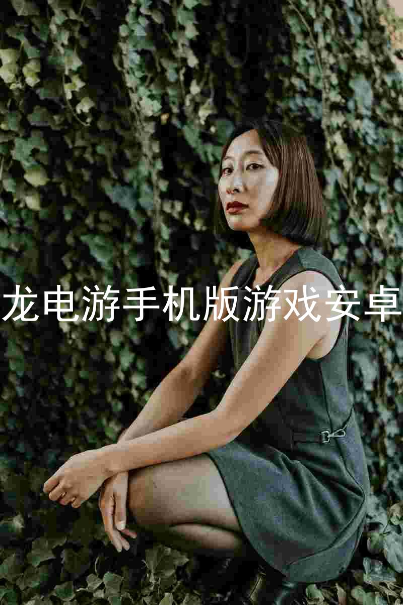 尊龙电游手机版游戏安卓版