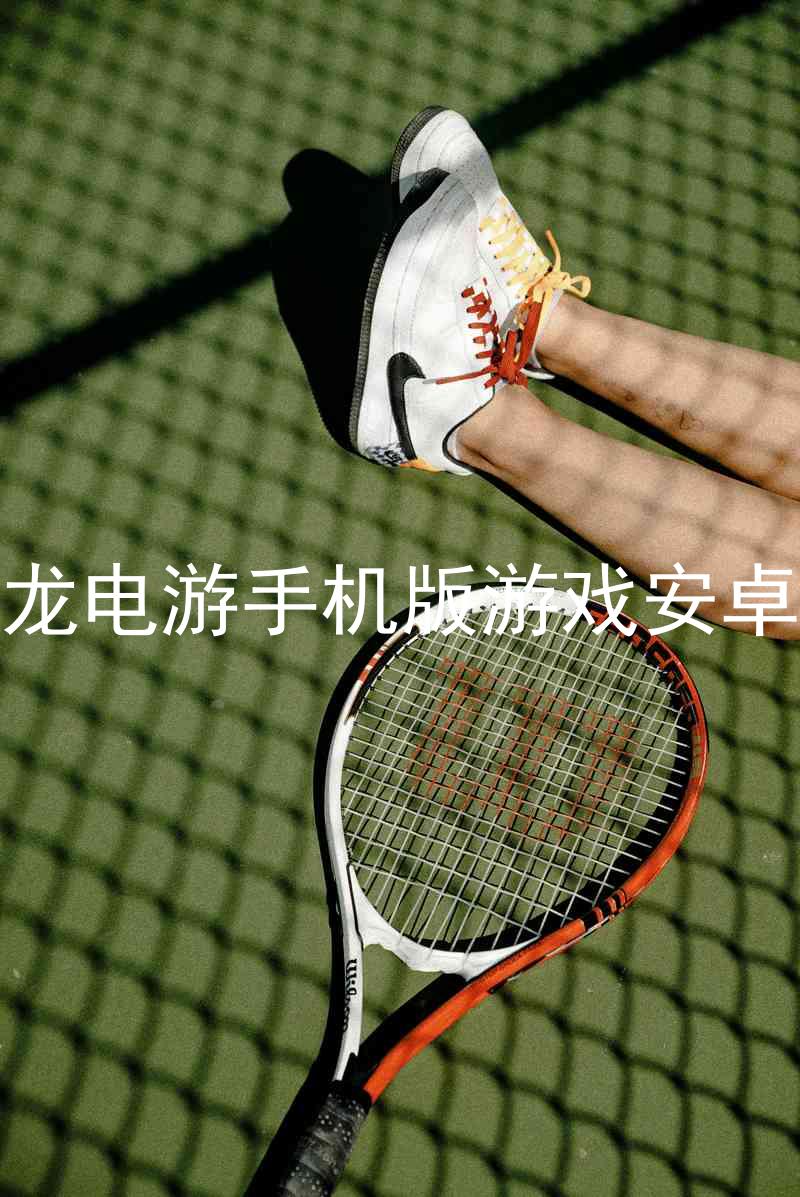 尊龙电游手机版游戏安卓版