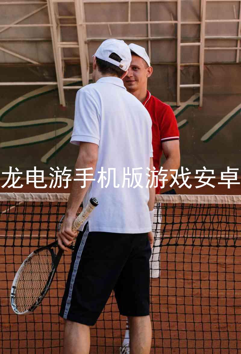 尊龙电游手机版游戏安卓版