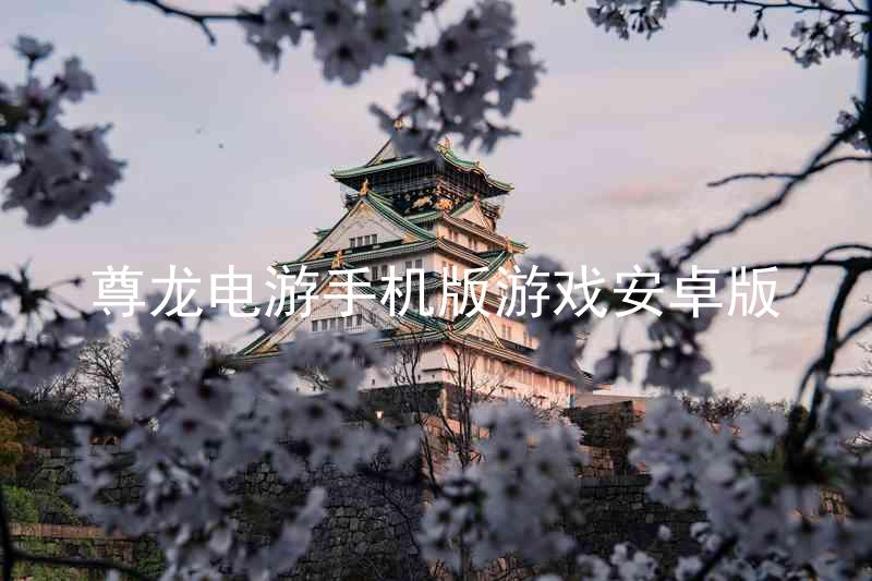 尊龙电游手机版游戏安卓版