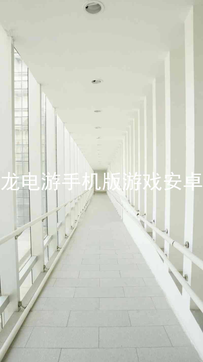 尊龙电游手机版游戏安卓版