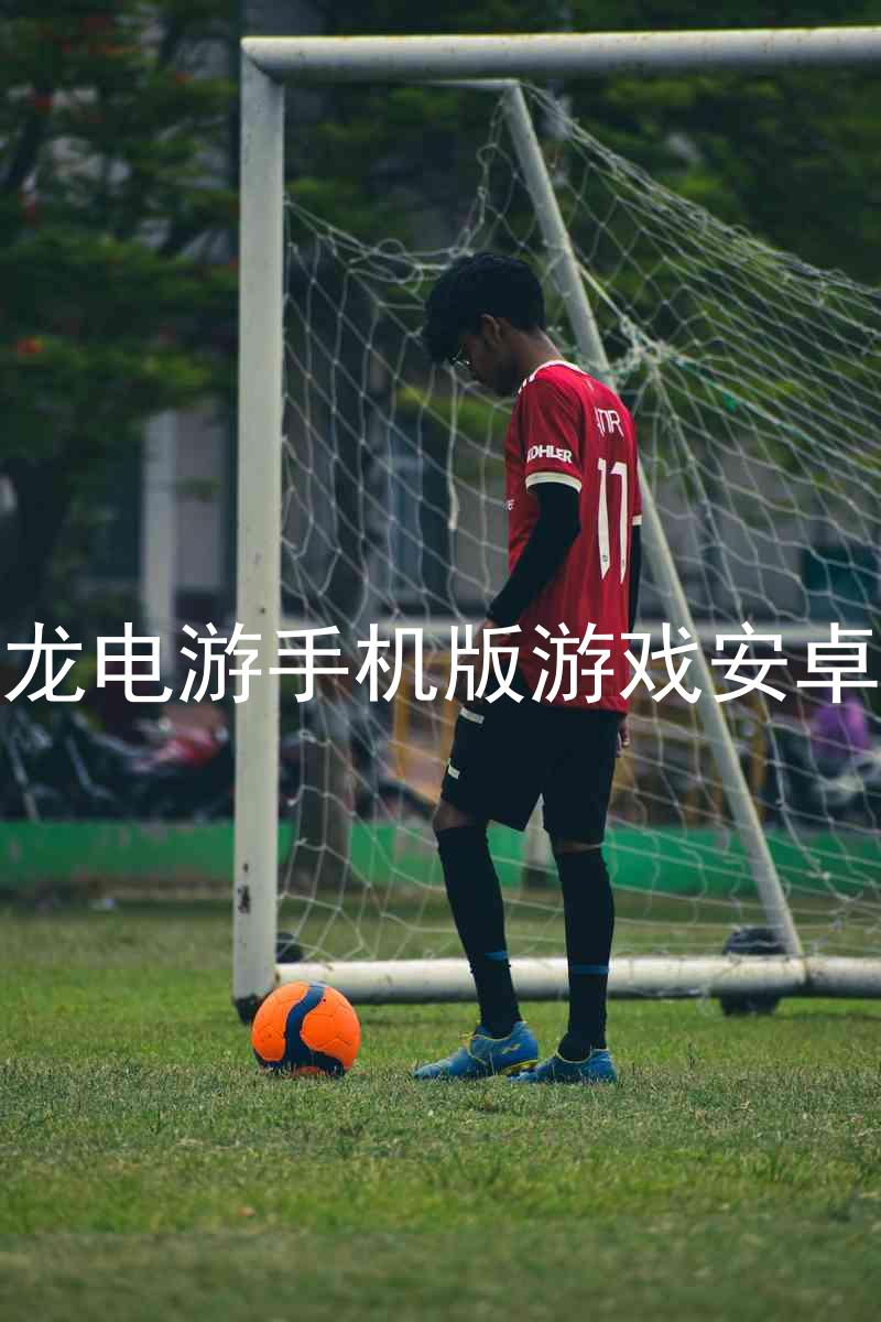 尊龙电游手机版游戏安卓版